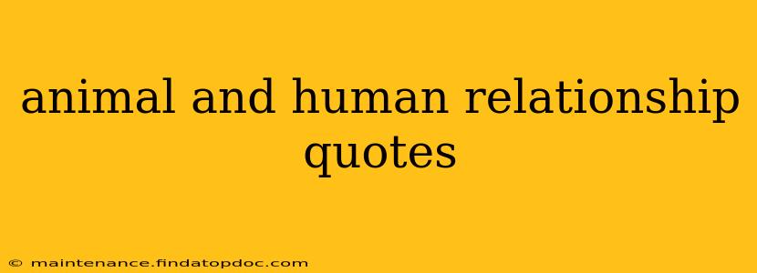animal and human relationship quotes
