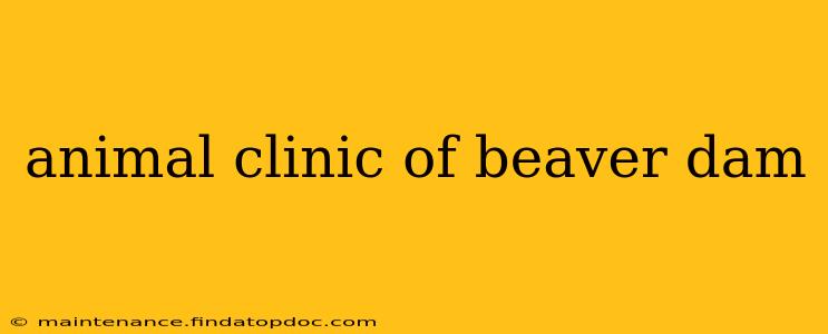 animal clinic of beaver dam