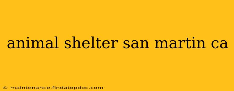 animal shelter san martin ca