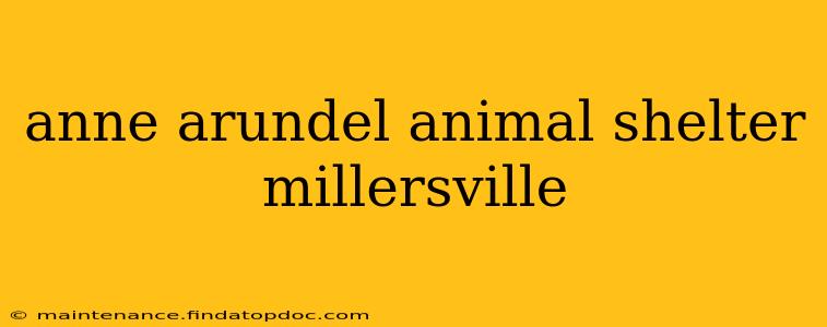 anne arundel animal shelter millersville