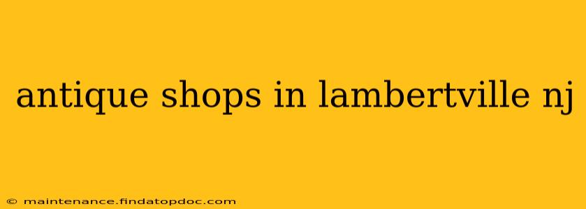 antique shops in lambertville nj