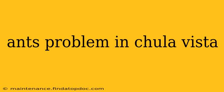 ants problem in chula vista