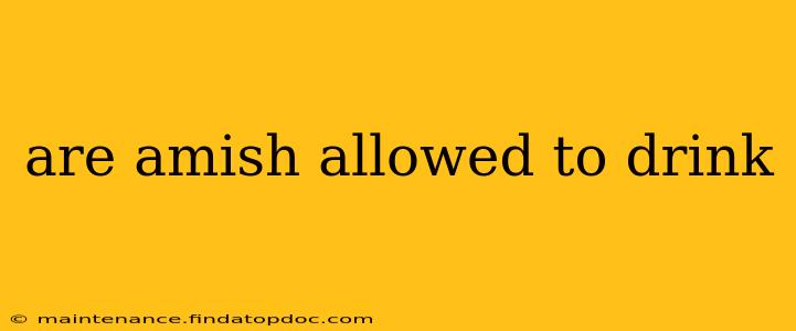 are amish allowed to drink