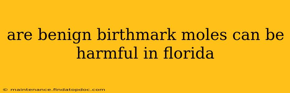 are benign birthmark moles can be harmful in florida