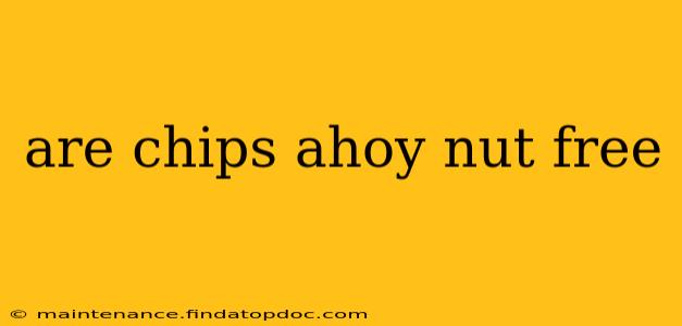 are chips ahoy nut free