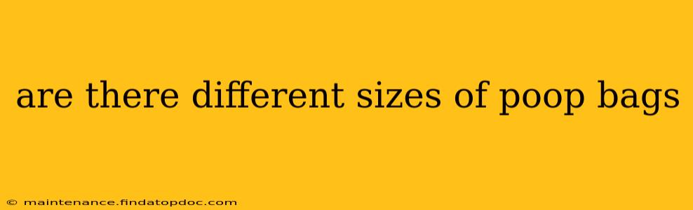 are there different sizes of poop bags