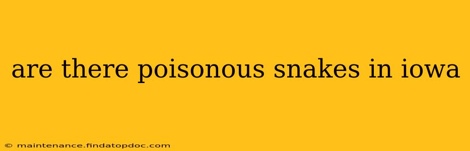 are there poisonous snakes in iowa