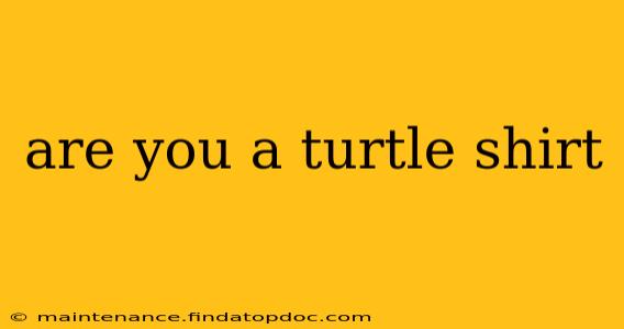 are you a turtle shirt