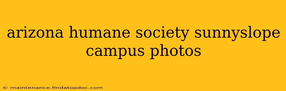 arizona humane society sunnyslope campus photos