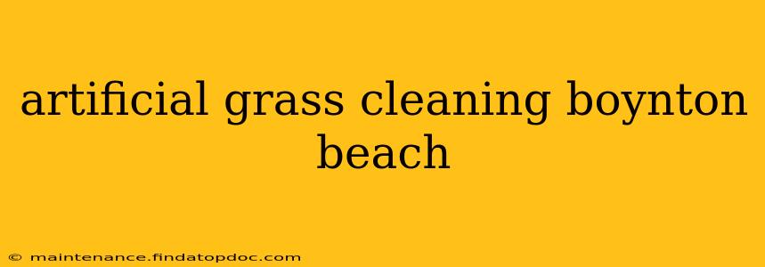 artificial grass cleaning boynton beach
