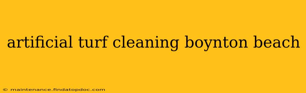 artificial turf cleaning boynton beach