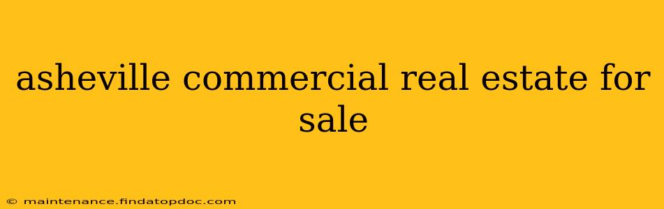 asheville commercial real estate for sale