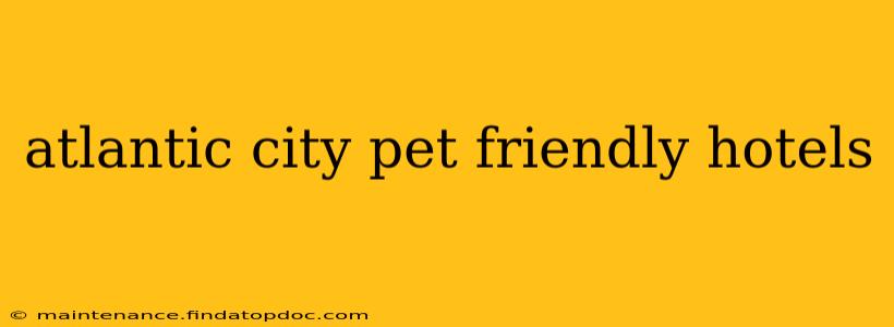 atlantic city pet friendly hotels
