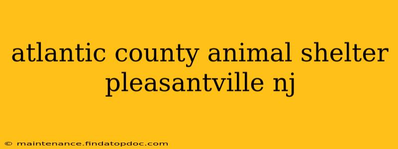 atlantic county animal shelter pleasantville nj