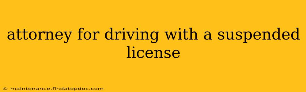 attorney for driving with a suspended license