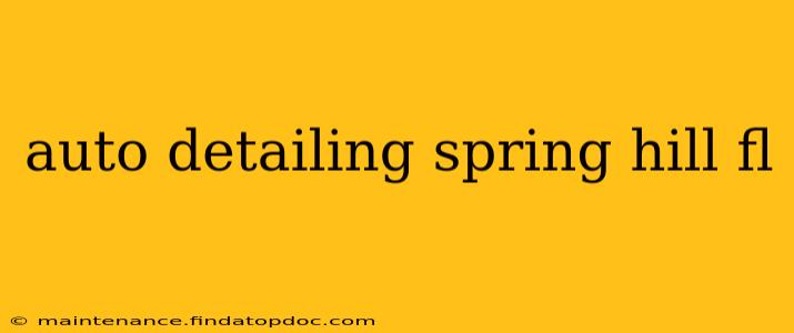 auto detailing spring hill fl