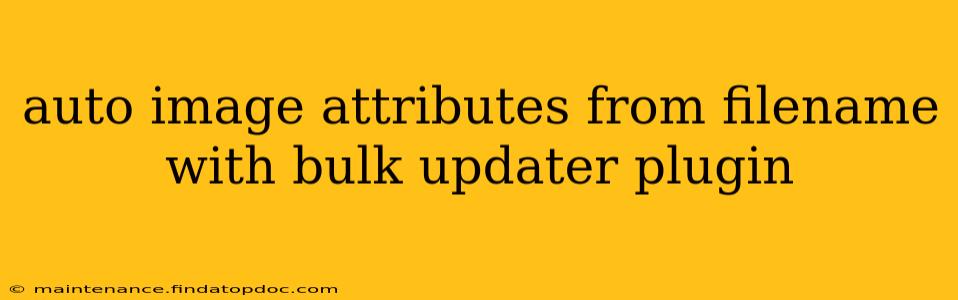 auto image attributes from filename with bulk updater plugin