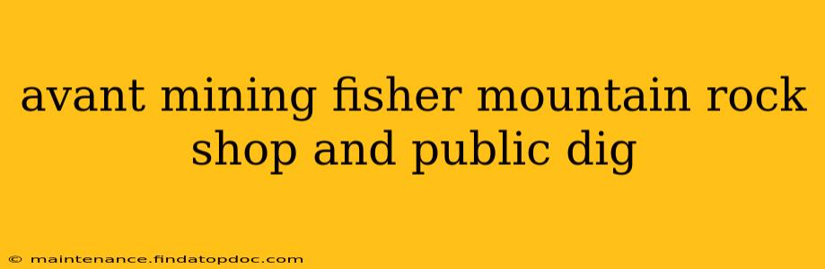 avant mining fisher mountain rock shop and public dig