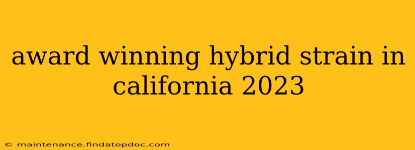 award winning hybrid strain in california 2023