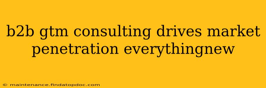 b2b gtm consulting drives market penetration everythingnew