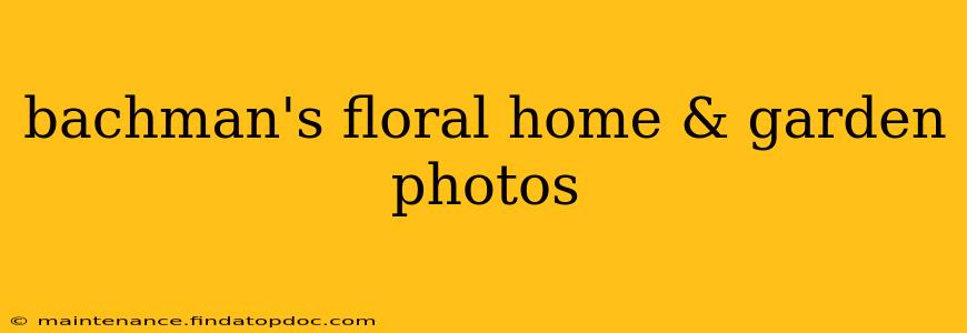 bachman's floral home & garden photos