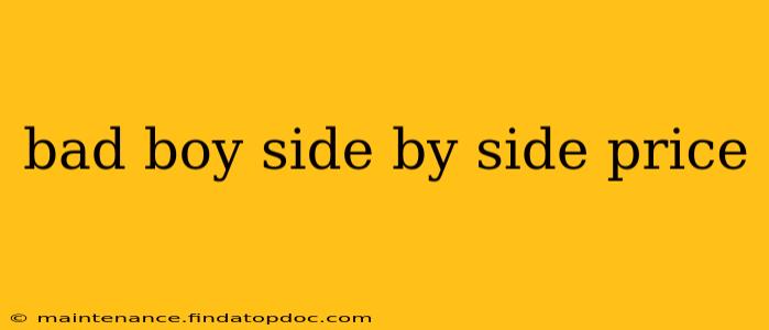 bad boy side by side price