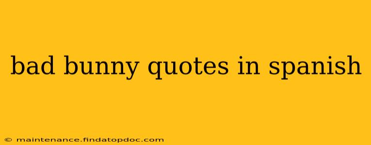 bad bunny quotes in spanish