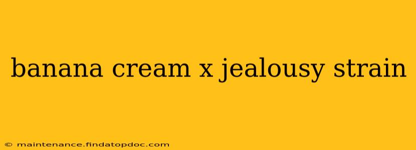 banana cream x jealousy strain