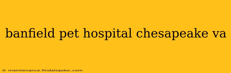 banfield pet hospital chesapeake va