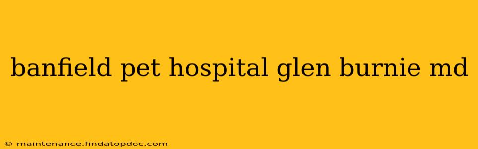 banfield pet hospital glen burnie md
