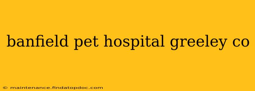 banfield pet hospital greeley co