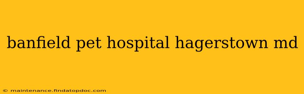 banfield pet hospital hagerstown md