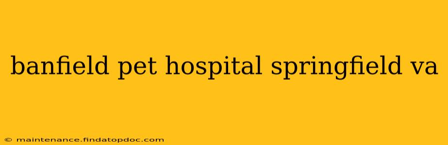 banfield pet hospital springfield va