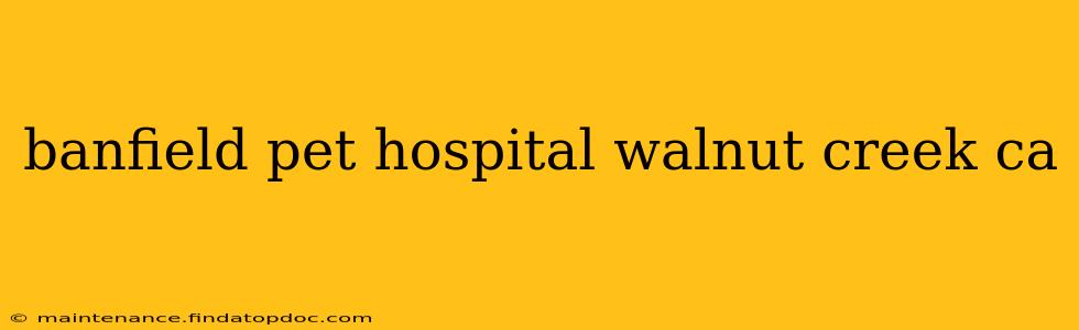 banfield pet hospital walnut creek ca