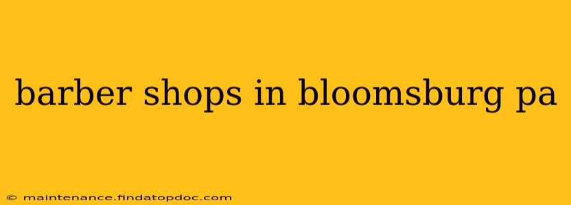 barber shops in bloomsburg pa