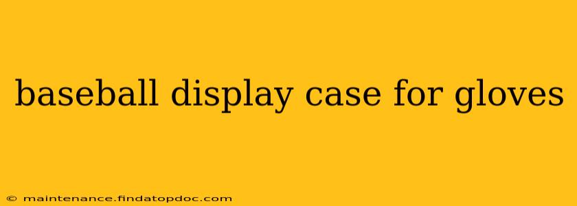 baseball display case for gloves