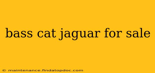 bass cat jaguar for sale