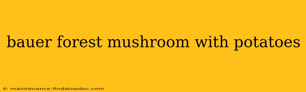 bauer forest mushroom with potatoes