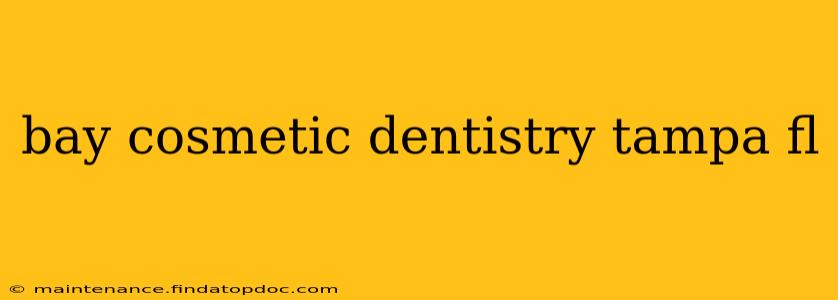 bay cosmetic dentistry tampa fl