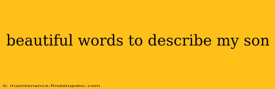 beautiful words to describe my son