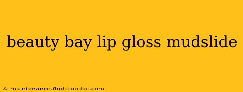 beauty bay lip gloss mudslide