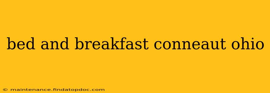 bed and breakfast conneaut ohio