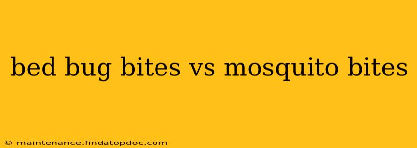 bed bug bites vs mosquito bites