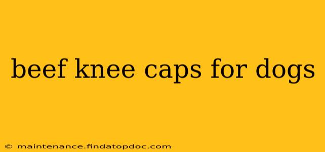 beef knee caps for dogs