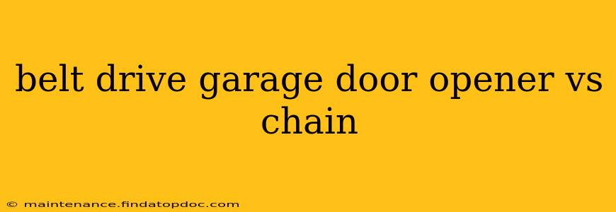 belt drive garage door opener vs chain