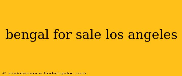 bengal for sale los angeles