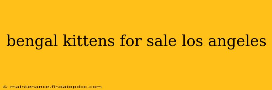 bengal kittens for sale los angeles