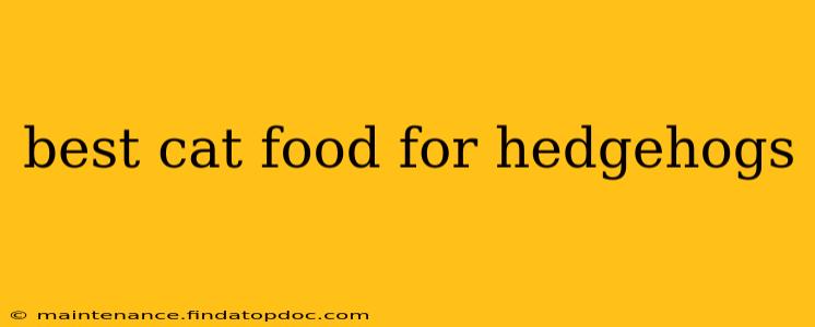 best cat food for hedgehogs