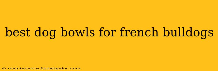 best dog bowls for french bulldogs
