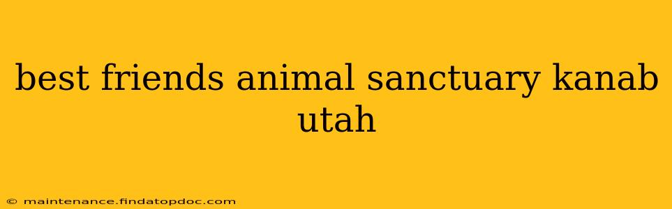 best friends animal sanctuary kanab utah